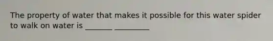The property of water that makes it possible for this water spider to walk on water is _______ _________