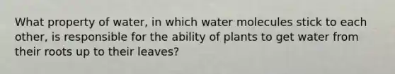 What property of water, in which water molecules stick to each other, is responsible for the ability of plants to get water from their roots up to their leaves?