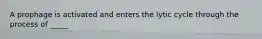A prophage is activated and enters the lytic cycle through the process of _____