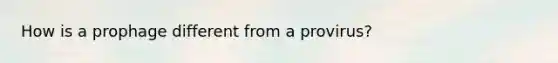 How is a prophage different from a provirus?