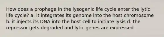 How does a prophage in the lysogenic life cycle enter the lytic life cycle? a. it integrates its genome into the host chromosome b. it injects its DNA into the host cell to initiate lysis d. the repressor gets degraded and lytic genes are expressed