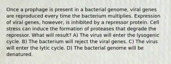 Once a prophage is present in a bacterial genome, viral genes are reproduced every time the bacterium multiplies. Expression of viral genes, however, is inhibited by a repressor protein. Cell stress can induce the formation of proteases that degrade the repressor. What will result? A) The virus will enter the lysogenic cycle. B) The bacterium will reject the viral genes. C) The virus will enter the lytic cycle. D) The bacterial genome will be denatured.