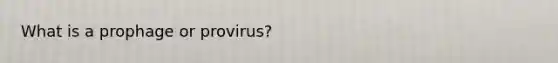 What is a prophage or provirus?