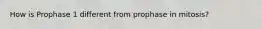 How is Prophase 1 different from prophase in mitosis?
