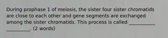 During prophase 1 of meiosis, the sister four sister chromatids are close to each other and gene segments are exchanged among the sister chromatids. This process is called ___________ __________. (2 words)