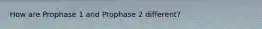 How are Prophase 1 and Prophase 2 different?