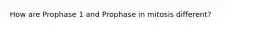 How are Prophase 1 and Prophase in mitosis different?