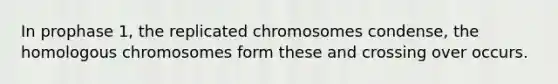 In prophase 1, the replicated chromosomes condense, the homologous chromosomes form these and crossing over occurs.