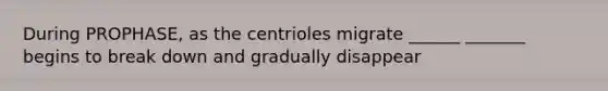 During PROPHASE, as the centrioles migrate ______ _______ begins to break down and gradually disappear