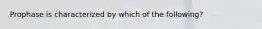 Prophase is characterized by which of the following?