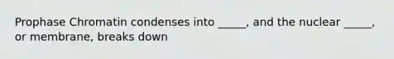 Prophase Chromatin condenses into _____, and the nuclear _____, or membrane, breaks down