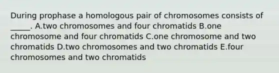 During prophase a homologous pair of chromosomes consists of _____. A.two chromosomes and four chromatids B.one chromosome and four chromatids C.one chromosome and two chromatids D.two chromosomes and two chromatids E.four chromosomes and two chromatids