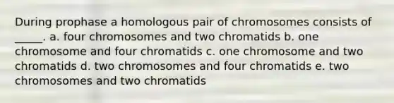 During prophase a homologous pair of chromosomes consists of _____. a. four chromosomes and two chromatids b. one chromosome and four chromatids c. one chromosome and two chromatids d. two chromosomes and four chromatids e. two chromosomes and two chromatids