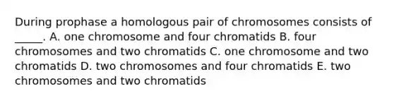 During prophase a homologous pair of chromosomes consists of _____. A. one chromosome and four chromatids B. four chromosomes and two chromatids C. one chromosome and two chromatids D. two chromosomes and four chromatids E. two chromosomes and two chromatids