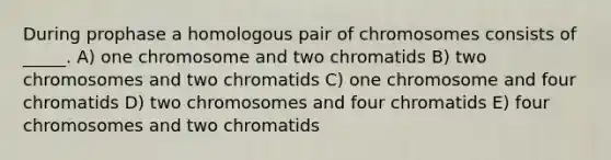 During prophase a homologous pair of chromosomes consists of _____. A) one chromosome and two chromatids B) two chromosomes and two chromatids C) one chromosome and four chromatids D) two chromosomes and four chromatids E) four chromosomes and two chromatids