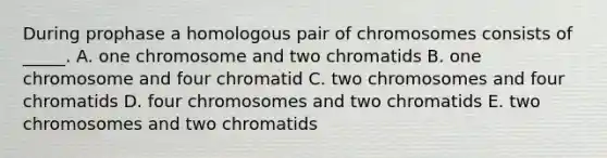 During prophase a homologous pair of chromosomes consists of _____. A. one chromosome and two chromatids B. one chromosome and four chromatid C. two chromosomes and four chromatids D. four chromosomes and two chromatids E. two chromosomes and two chromatids