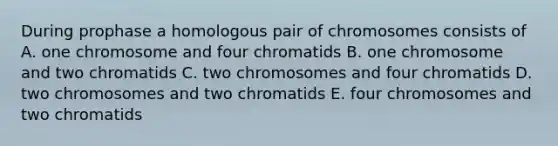 During prophase a homologous pair of chromosomes consists of A. one chromosome and four chromatids B. one chromosome and two chromatids C. two chromosomes and four chromatids D. two chromosomes and two chromatids E. four chromosomes and two chromatids