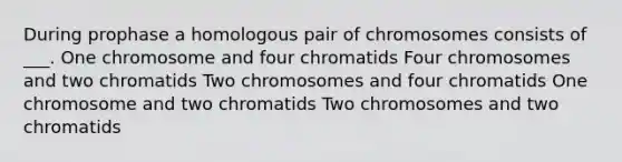 During prophase a homologous pair of chromosomes consists of ___. One chromosome and four chromatids Four chromosomes and two chromatids Two chromosomes and four chromatids One chromosome and two chromatids Two chromosomes and two chromatids