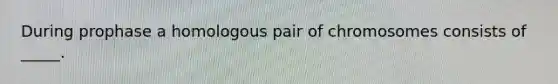 During prophase a homologous pair of chromosomes consists of _____.