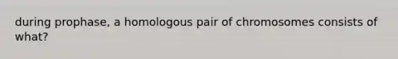 during prophase, a homologous pair of chromosomes consists of what?