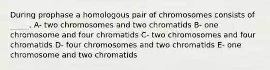 During prophase a homologous pair of chromosomes consists of _____. A- two chromosomes and two chromatids B- one chromosome and four chromatids C- two chromosomes and four chromatids D- four chromosomes and two chromatids E- one chromosome and two chromatids