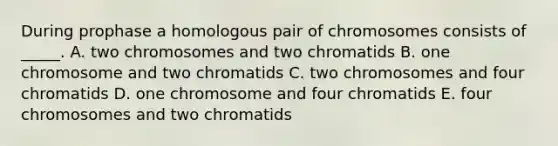 During prophase a homologous pair of chromosomes consists of _____. A. two chromosomes and two chromatids B. one chromosome and two chromatids C. two chromosomes and four chromatids D. one chromosome and four chromatids E. four chromosomes and two chromatids