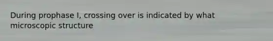 During prophase I, crossing over is indicated by what microscopic structure