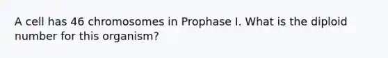 A cell has 46 chromosomes in Prophase I. What is the diploid number for this organism?