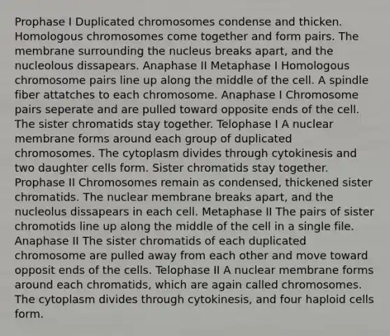 Prophase I Duplicated chromosomes condense and thicken. Homologous chromosomes come together and form pairs. The membrane surrounding the nucleus breaks apart, and the nucleolous dissapears. Anaphase II Metaphase I Homologous chromosome pairs line up along the middle of the cell. A spindle fiber attatches to each chromosome. Anaphase I Chromosome pairs seperate and are pulled toward opposite ends of the cell. The sister chromatids stay together. Telophase I A nuclear membrane forms around each group of duplicated chromosomes. The cytoplasm divides through cytokinesis and two daughter cells form. Sister chromatids stay together. Prophase II Chromosomes remain as condensed, thickened sister chromatids. The nuclear membrane breaks apart, and the nucleolus dissapears in each cell. Metaphase II The pairs of sister chromotids line up along the middle of the cell in a single file. Anaphase II The sister chromatids of each duplicated chromosome are pulled away from each other and move toward opposit ends of the cells. Telophase II A nuclear membrane forms around each chromatids, which are again called chromosomes. The cytoplasm divides through cytokinesis, and four haploid cells form.