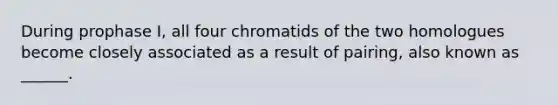 During prophase I, all four chromatids of the two homologues become closely associated as a result of pairing, also known as ______.