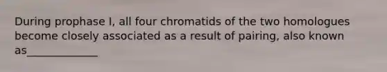 During prophase I, all four chromatids of the two homologues become closely associated as a result of pairing, also known as_____________