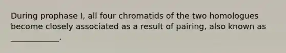 During prophase I, all four chromatids of the two homologues become closely associated as a result of pairing, also known as ____________.