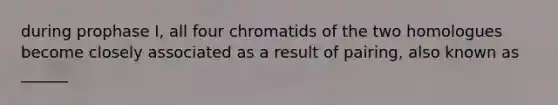 during prophase I, all four chromatids of the two homologues become closely associated as a result of pairing, also known as ______