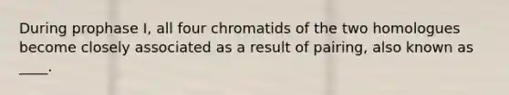 During prophase I, all four chromatids of the two homologues become closely associated as a result of pairing, also known as ____.