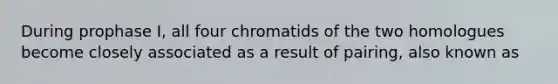 During prophase I, all four chromatids of the two homologues become closely associated as a result of pairing, also known as