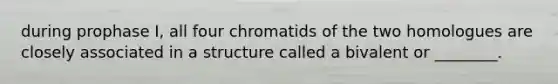 during prophase I, all four chromatids of the two homologues are closely associated in a structure called a bivalent or ________.