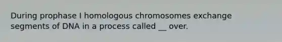 During prophase I homologous chromosomes exchange segments of DNA in a process called __ over.