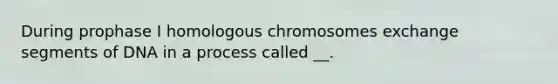 During prophase I homologous chromosomes exchange segments of DNA in a process called __.