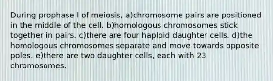 During prophase I of meiosis, a)chromosome pairs are positioned in the middle of the cell. b)homologous chromosomes stick together in pairs. c)there are four haploid daughter cells. d)the homologous chromosomes separate and move towards opposite poles. e)there are two daughter cells, each with 23 chromosomes.