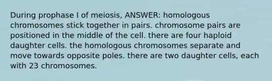 During prophase I of meiosis, ANSWER: homologous chromosomes stick together in pairs. chromosome pairs are positioned in the middle of the cell. there are four haploid daughter cells. the homologous chromosomes separate and move towards opposite poles. there are two daughter cells, each with 23 chromosomes.