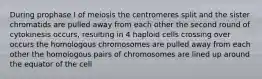 During prophase I of meiosis the centromeres split and the sister chromatids are pulled away from each other the second round of cytokinesis occurs, resulting in 4 haploid cells crossing over occurs the homologous chromosomes are pulled away from each other the homologous pairs of chromosomes are lined up around the equator of the cell