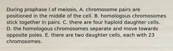 During prophase I of meiosis, A. chromosome pairs are positioned in the middle of the cell. B. homologous chromosomes stick together in pairs. C. there are four haploid daughter cells. D. the homologous chromosomes separate and move towards opposite poles. E. there are two daughter cells, each with 23 chromosomes.