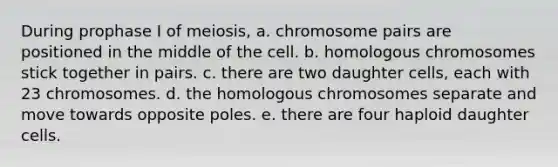 During prophase I of meiosis, a. chromosome pairs are positioned in the middle of the cell. b. homologous chromosomes stick together in pairs. c. there are two daughter cells, each with 23 chromosomes. d. the homologous chromosomes separate and move towards opposite poles. e. there are four haploid daughter cells.