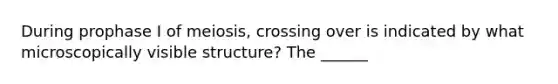 During prophase I of meiosis, crossing over is indicated by what microscopically visible structure? The ______