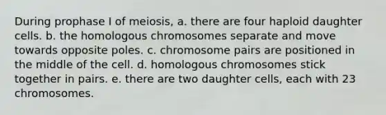 During prophase I of meiosis, a. there are four haploid daughter cells. b. the homologous chromosomes separate and move towards opposite poles. c. chromosome pairs are positioned in the middle of the cell. d. homologous chromosomes stick together in pairs. e. there are two daughter cells, each with 23 chromosomes.