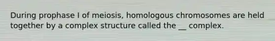 During prophase I of meiosis, homologous chromosomes are held together by a complex structure called the __ complex.