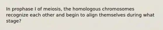 In prophase I of meiosis, the homologous chromosomes recognize each other and begin to align themselves during what stage?