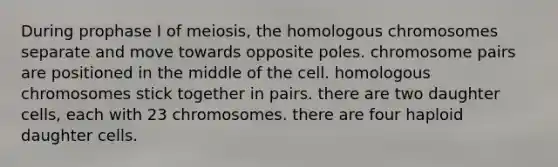 During prophase I of meiosis, the homologous chromosomes separate and move towards opposite poles. chromosome pairs are positioned in the middle of the cell. homologous chromosomes stick together in pairs. there are two daughter cells, each with 23 chromosomes. there are four haploid daughter cells.