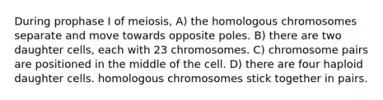 During prophase I of meiosis, A) the homologous chromosomes separate and move towards opposite poles. B) there are two daughter cells, each with 23 chromosomes. C) chromosome pairs are positioned in the middle of the cell. D) there are four haploid daughter cells. homologous chromosomes stick together in pairs.