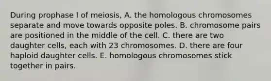 During prophase I of meiosis, A. the homologous chromosomes separate and move towards opposite poles. B. chromosome pairs are positioned in the middle of the cell. C. there are two daughter cells, each with 23 chromosomes. D. there are four haploid daughter cells. E. homologous chromosomes stick together in pairs.